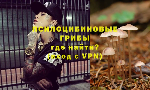 дурь Кинешма