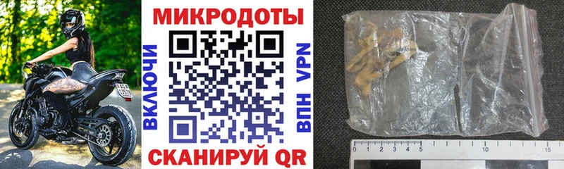 Галлюциногенные грибы Cubensis  Купить  Кизляр 